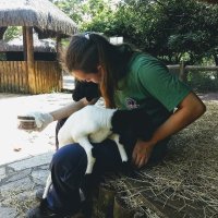 Rodrigo Martins (@ea_rodrigo) 's Twitter Profile