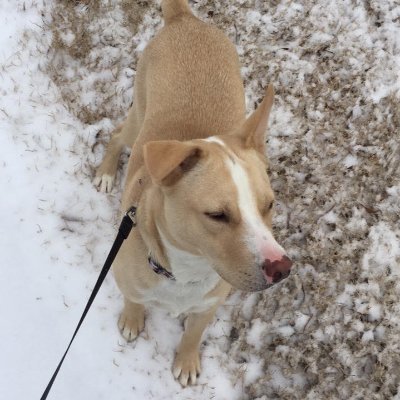 🎮 FPS Enthusiast | Variety Streamer 🎙️
🎸 Drums & Guitar Learner 🎵
💻 CS Grad | RPG Lover ✨
📍 Live: https://t.co/wKQg5Olq8K