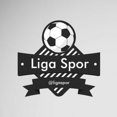 Liga Spor