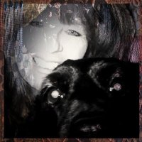 Deb Williams (@ceoadvisorybds) 's Twitter Profile