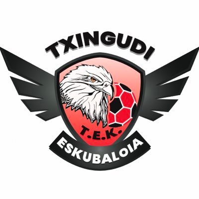 TxingudiTEK Profile Picture