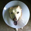 Kris Snow - @snow_kris - Twitter