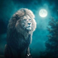Waleed Akbar Durrani (@waleedakbardur1) 's Twitter Profile