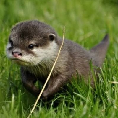 julpiiiiii's profile picture. ...