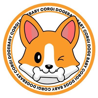 Babycorgidoge Bcorgidoge Twitter Babycorgidoge Bcorgidoge Twitter