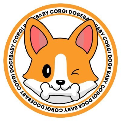 Doge corgi Southeast Corgi