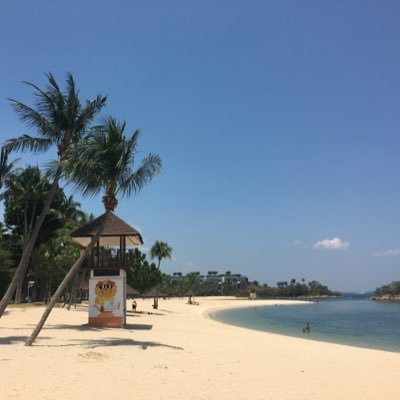 giglio0202's profile picture. 以前は趣味のアカウントでしたが今は情報収集のために使っています。2025年中学受験組です。