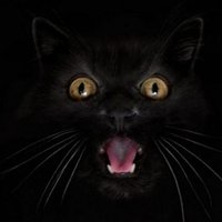 Zorica Marković (@zocamonster) 's Twitter Profile