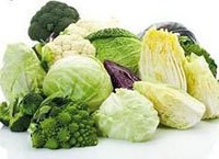 novyediety's profile picture. Все о похудении и здоровом питании