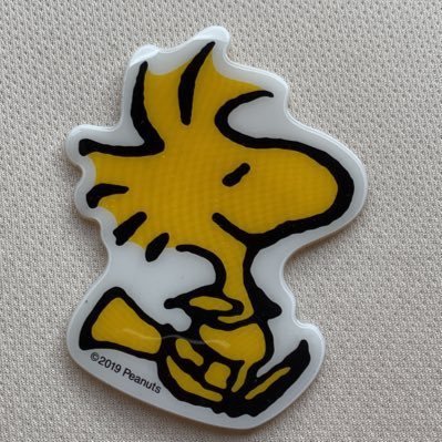 日本が大好きな日本人。日本のためにならない人が嫌い。安倍元総理を尊敬🫡 安倍政治を継ぐ方々を応援📣します‼️ジャニーズ事もツイートします。推しは、ジャニーズ内、辞めジャニ(not つべ地図)、推しとまでは達してませんが最近、WEST.、キンプリ二人もゆるく応援📣