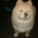 john vasquez - @john17021986 - Twitter