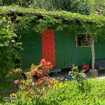 Cosy & #dogfriendly #holidaycottage & #vintagecaravan in idyllic grounds near #PreseliHills & #Pembrokeshirecoast. #airbnbsuperhost #sauna #firepits #kayaks