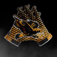 Hudson’s Bay Football (@hbhs_eaglefb) 's Twitter Profile