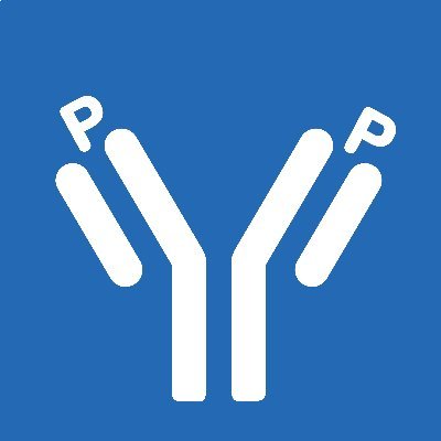 Hard-working team of scientists, passionate about providing researchers with the highest quality #antibodies and customer support in the industry!