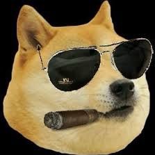 Love crypto, anime, and cigars. #slickgang #dodge #shib #kishu #safemoon #babydoge #tking #ada #bch #eth #algo #amp #trx #btt #vet #xvg (not financial advice)