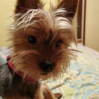 Nani (@candy28218564) 's Twitter Profile
