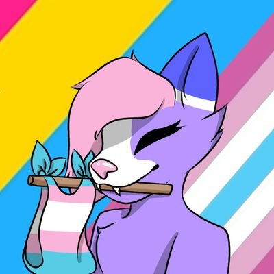 Alla Novaさんのプロフィール画像