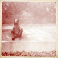 Antler Crafts ▲▲▲ (@antlercrafts) 's Twitter Profile Photo