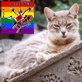 @kleinertod@norden.social ∴ FCSP Blog ∴ Desorganisiert ∴ Katzen, Kaffee, Postpunk, CraftBeer, Whisky ∴ Non ∴ Menschenfeind*innen werden geblockt 🏳️‍🌈