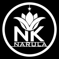 N.K.Narula (@nknarula) 's Twitter Profile