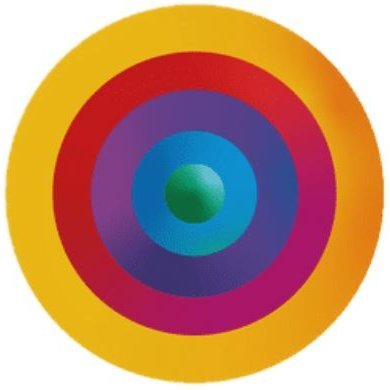 Skills for Life (Manchester City Council) Profile