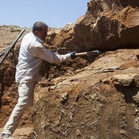 Kurtulus089's profile picture. Buralarda kendi halinde takılan biri.