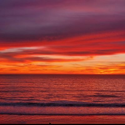 leticia_speer's profile picture. Bot  113