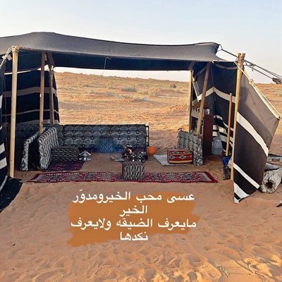 VTedLE8kLmpIXnH's profile picture. 