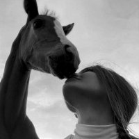 G🌻 (@melisse58798049) 's Twitter Profile Photo G🌻 (@melisse58798049) 's Twitter Profile Photo