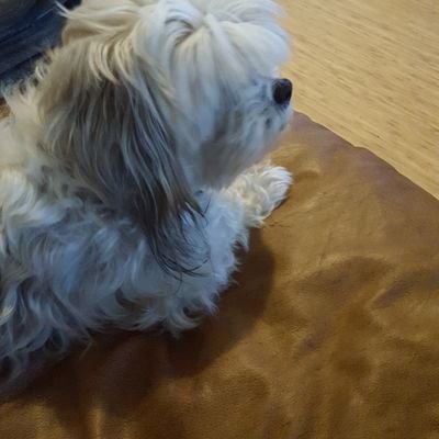 FredrickFloren6's profile picture. Single