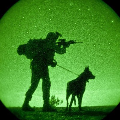 zerodarkdad's profile picture. Dad first, Gamer 2nd Love playing FPS, MMO RPG, and Strategy games. Currently playing Escape From Tarkov