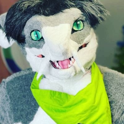 Hey! I'm Bikendi! I'm a whitetip reef shark fursuiter! I'm also a fire suppression systems inspector! 30/M/BI @PandaBwee is my boyfriend