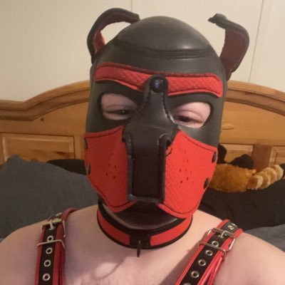 Gay male stuck in Oklahoma. Pup with no experience! Not a fan of clubs or bars but someday you could see me there?! Pup name is Aki meaning Autumn or Fall :)