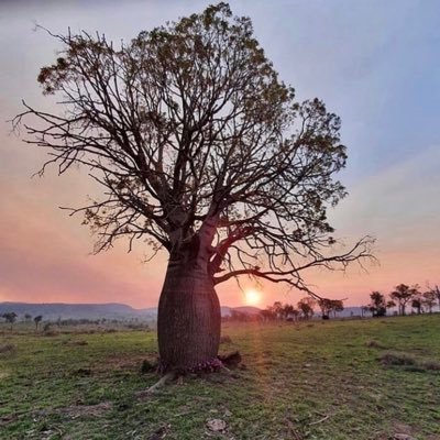 The North Burnett is located in Queensland, approximately four hours drive north of Brisbane and one hour west of Bundaberg.