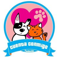 Cuenta Conmigo(@cuentaconmigo01) 's Twitter Profile Photo