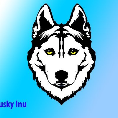HuskyInuHSI Profile Picture