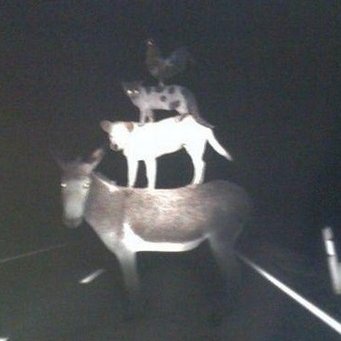 66sung_'s profile picture. 이눈지 여성들과 소통하는 계정......