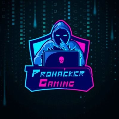 Pro__Hacker's profile picture. Instagram id-  dheeraj_agr_