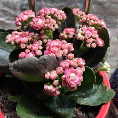 cU2gybSxbMiLU3b's profile picture. 