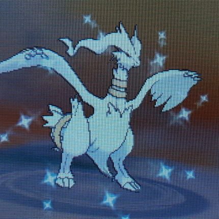 Jeune shiny hunter Full Odds (mais pas que), 61 shiny au compteur