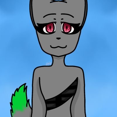 WolfieTheWolf55's profile picture. 