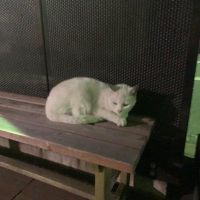 M8Xrv2USRvitH1T's profile picture. 釣り用アカウント作りましたん！ 岡山県南部中心に海釣りしてます！ 20歳男大学生！ママカリ/サヨリ/だったんですが、バス/ヒラメ/イカも挑戦したい、、(キス挑戦中)