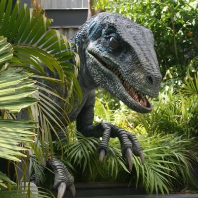 Felicia47556872's profile picture. 