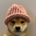 Sentu (@sentuqex) Twitter profile photo Sentu (@sentuqex) Twitter profile photo