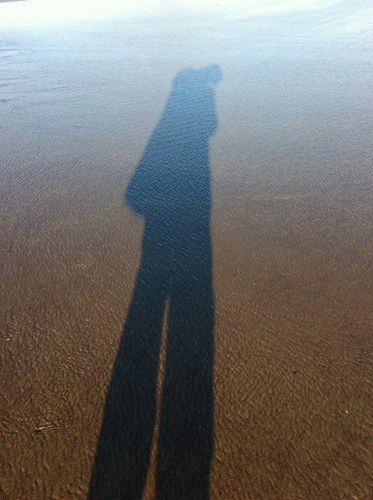 mrw1066's profile picture. web design and development based in Bradford with a keen interest in stocks, shares and medieval history. Oh, and kinda like building things with my son!