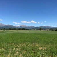 @AOrti (@achilleorti) 's Twitter Profile