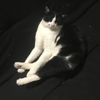 ryankfrazier's profile picture. computer science/game dev