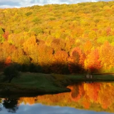 adrienneSulli16's profile picture. Mom to a terrific trio. Human Factors Engineer.  Inclusion enthusiest. Thriving on chaos and love.  Disability is Diversity. Opinions are my own.