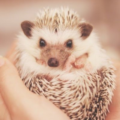 ワンピース名シーン集のプロフィール写真