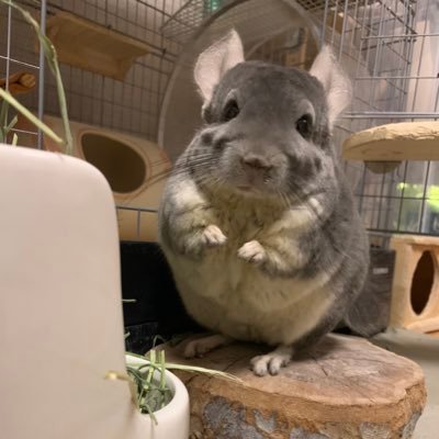 さすけさんのプロフィール画像
